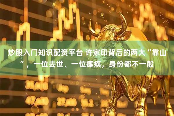 炒股入门知识配资平台 许家印背后的两大“靠山”，一位去世、一位瘫痪，身份都不一般
