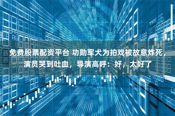 免费股票配资平台 功勋军犬为拍戏被故意炸死，演员哭到吐血，导演高呼：好，太好了