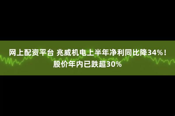 网上配资平台 兆威机电上半年净利同比降34%！股价年内已跌超30%